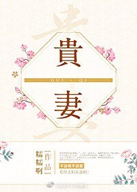 贵妻