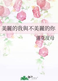 美麗的我與不美麗的你