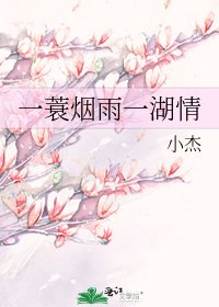 一蓑烟雨一湖情