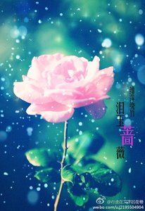 (红楼同人)穿越红楼之泪玉蔷薇